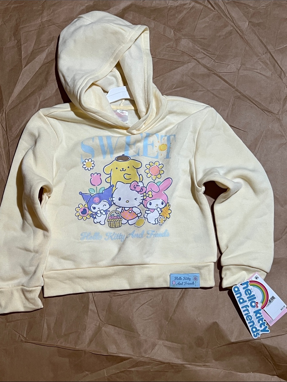 Hello Kitty Cream Graphic Hoodie Sweater with Pastel Characters